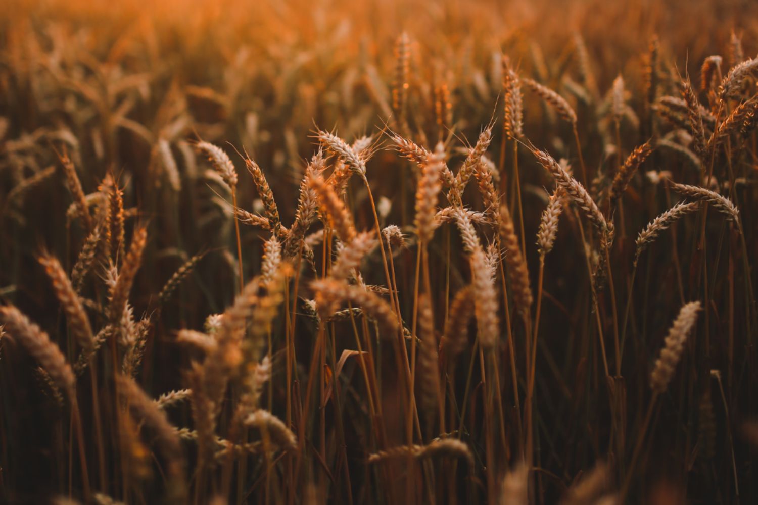 Warehousing & Logistics