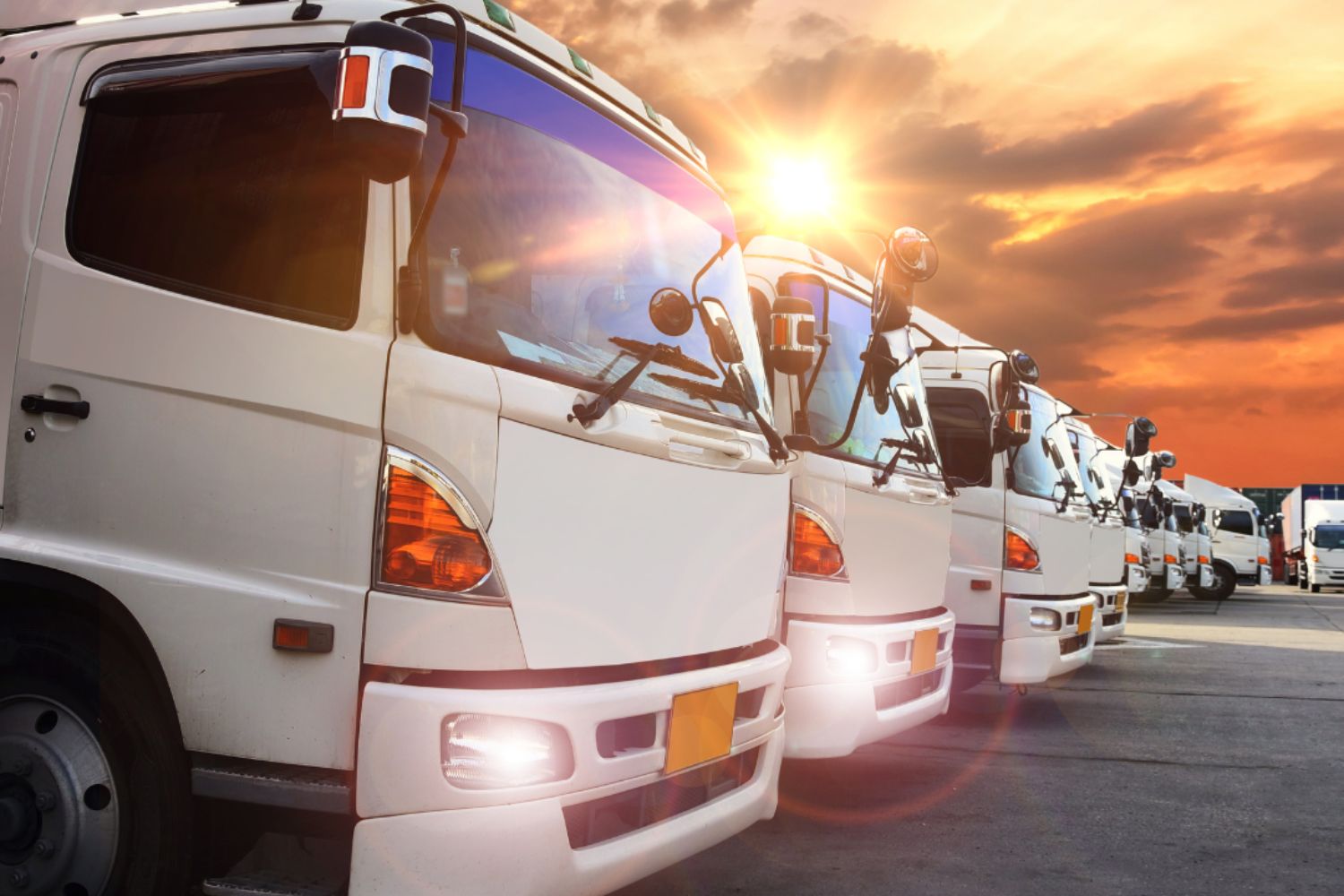 Warehousing & Logistics