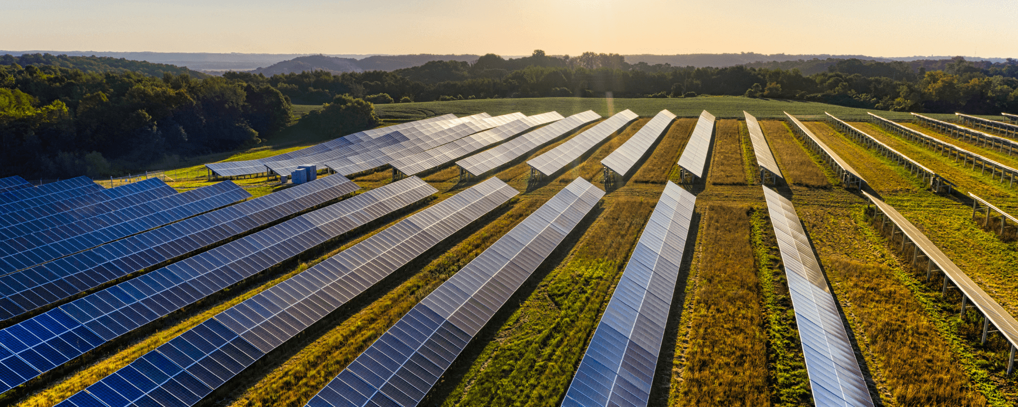 Agriculture & Farming