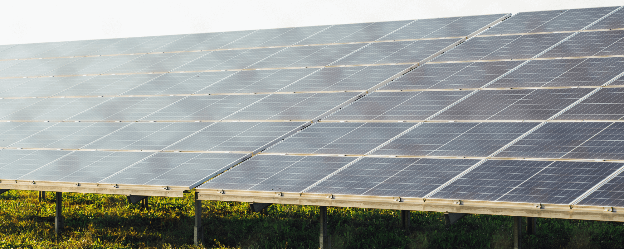 Agriculture & Farming