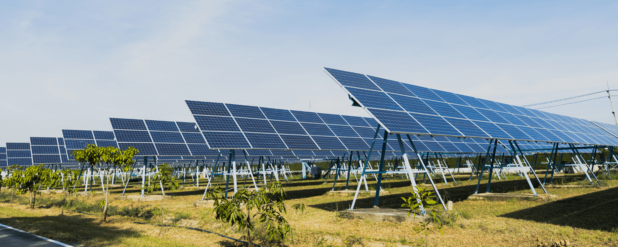 Agriculture & Farming