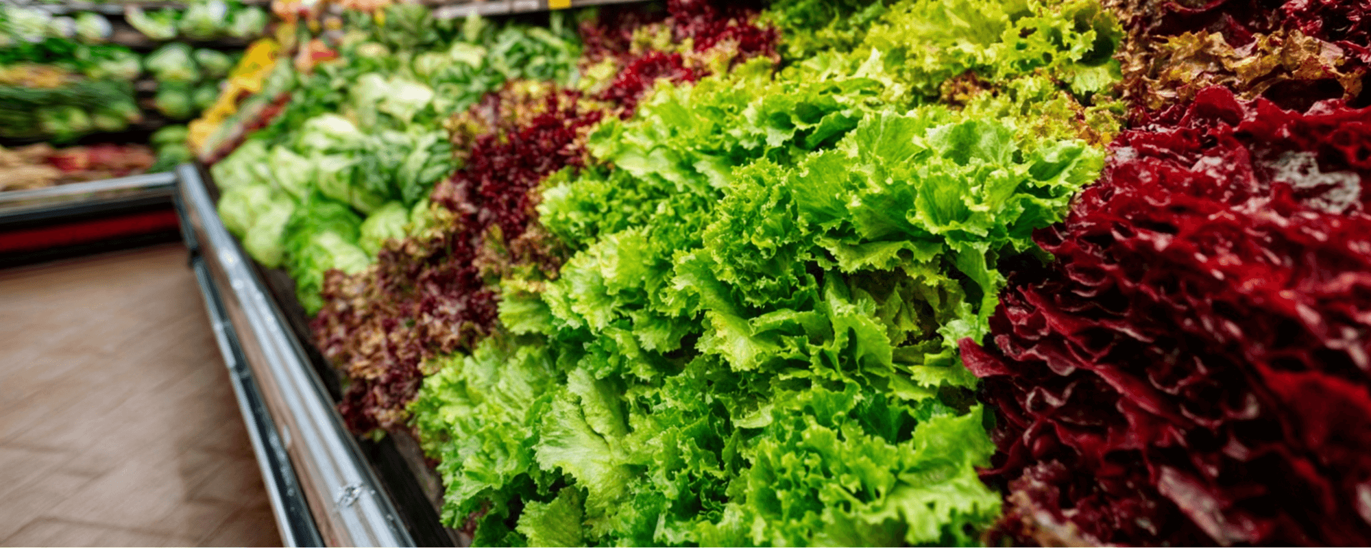 Solar solutions for Retail & Supermarkets buildings 